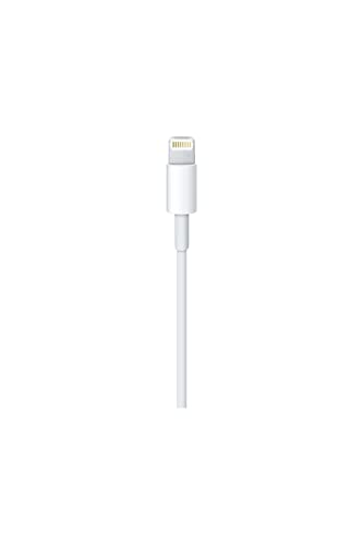 Apple Lightning to USB Cable (0.5 m)