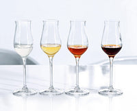 Thumbnail for SOMPEX Aperitifglas SPIEGELAU Digestif Set/4 13,5 cl 19,7cm 4er Set 1 Stck. 4510173