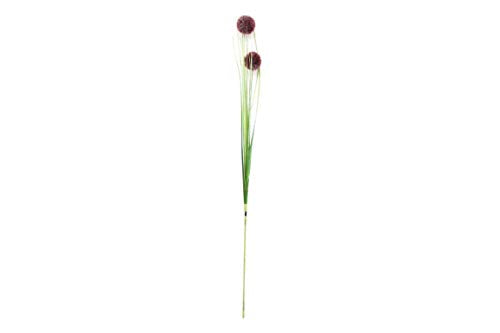 S2T Gras mit Kugelblüte, weiß/lila Sortiert L60 cm im Sale