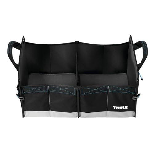 Thule Go Box Medium im Sale