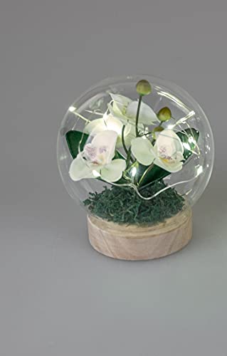 formano Künstliche Orchidee mit Glasglocke auf Holzsockel, mit Timer und LED-Licht (13 cm)