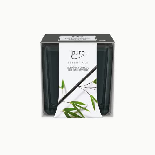 ipuro - dekorative black bamboo Duftkerze - minimalistische & puristische Duftkerzen im Glas - intensive mit grünen holzigen Noten - stilvolle Kerze 125 g, Klar