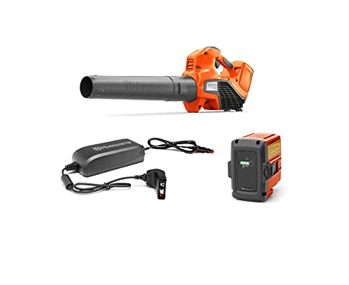 Husqvarna 967976102 Blasgerät 120iB+BLi20+QC80 im Sale