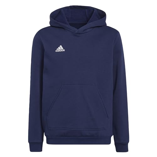 adidas Unisex Kinder Entrada 22 Sweat Hoodie, Black, 140 im Sale