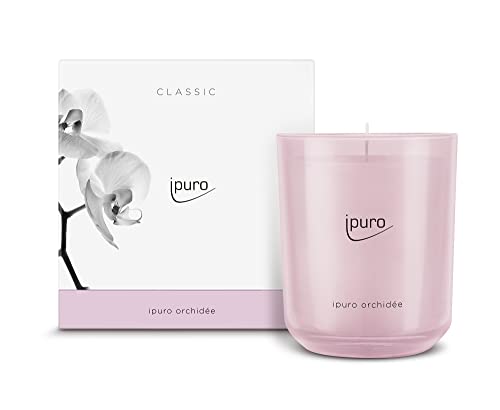 ipuro - dekorative ipuro orchidée Duftkerze - minimalistische Duftkerzen im Glas 270 g - intensive Duftkerzen mit fruchtigen Duftnoten - elegante Kerze für ein puristisches Dufterlebnis im Sale