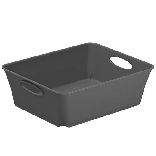 Rotho Living kleine Aufbewahrungsbox 1l, Kunststoff (PP) BPA-frei, anthrazit, C6/2.5l (18.6 x 15.1 x 6.0 cm) im Sale