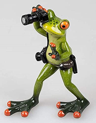 Frosch als Fotograf, ca. 15 cm