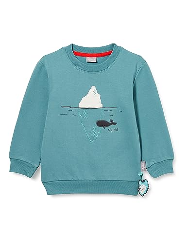 sigikid Mini Jungen Sweatshirt Polar Expedition im Sale