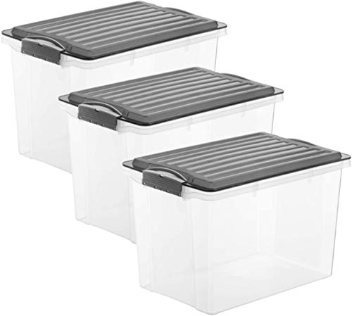 Rotho Compact 3er-Set Aufbewahrungsbox 19l mit Deckel, Kunststoff im Sale