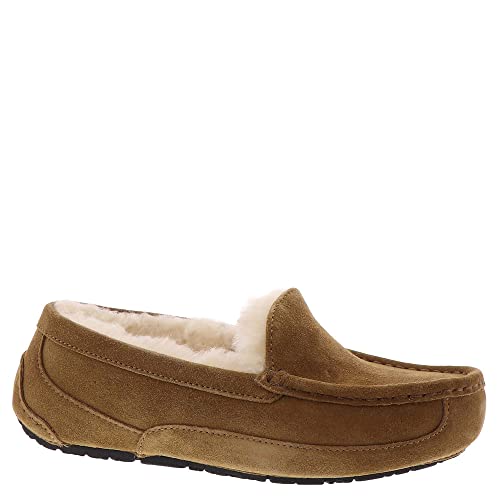 UGG Unisex Kinder Ascot Slipper, Chestnut Suede, 32.5 EU im Sale