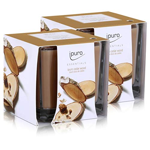 Essentials by Ipuro Duftkerze Cedar Wood 125g - Holzige Noten umschmeichelt von fruchtigen und blumigen Nuancen (2er Pack)