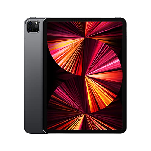 Apple 2021 iPad Pro (11, Wi-Fi, 2 TB) - Space Grau (3. Generation)