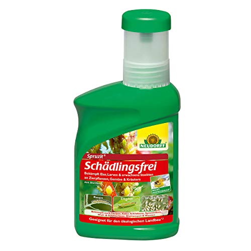 Neudorff Schädlingsfrei Spruzit, 250 ml