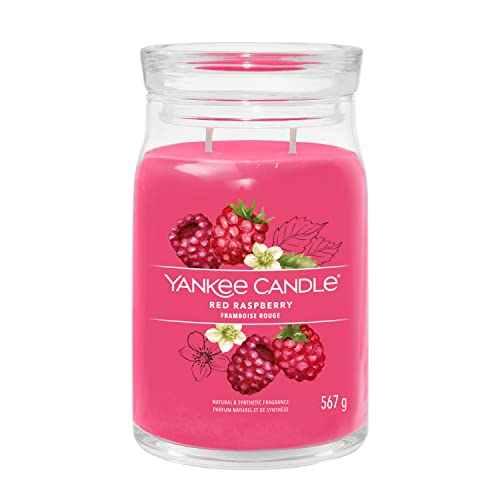 Yankee Candle Signature Duftkerze ; große Kerze mit langer Brenndauer „Red Raspberry“ ; Soja-Wachs-Mix im Sale