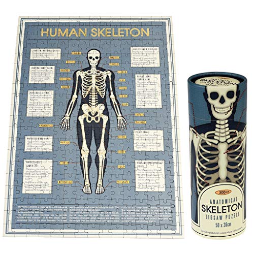 REX LONDON Puzzle Körper Human Box Röhre Mehrfarbig (28202