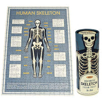 Thumbnail for REX LONDON Puzzle Körper Human Box Röhre Mehrfarbig (28202