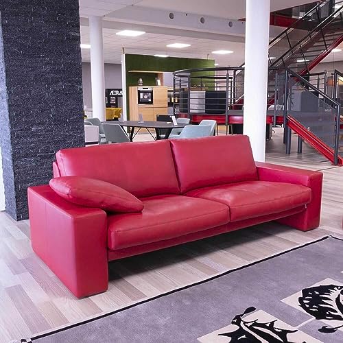 Erpo Garnitur Classics Sofas Leder 450.150 Rot