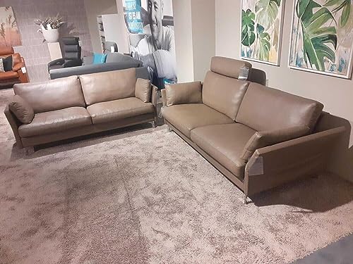 Erpo Garnitur CL 990 Leder 42 Fango 2 Sofas 1 Kopfstütze