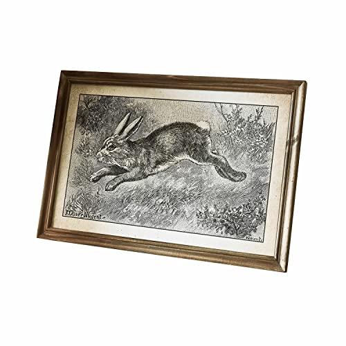 Loberon Dekoboard Trista, reizender Nostalgie-Druck, im Stil Einer Vintage-Zeichnung, Osterhase, Ostern, Osterdekoration, Wohn-Accessoire, Wanddeko, Kiefernholz, braun