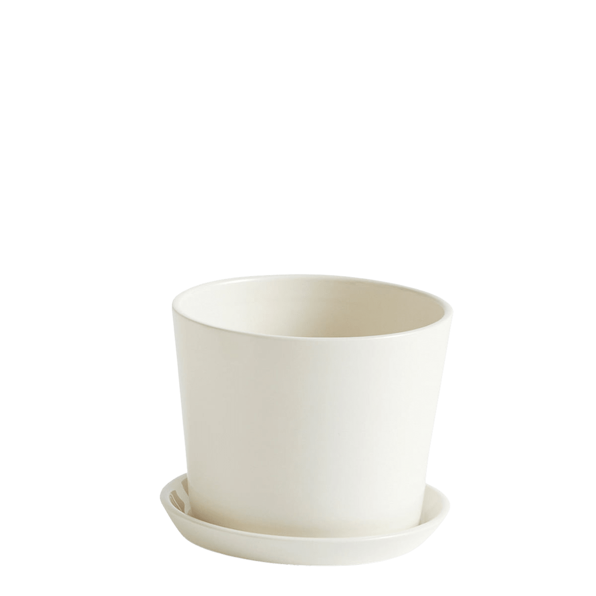 Botanical Family Plantpot im Sale