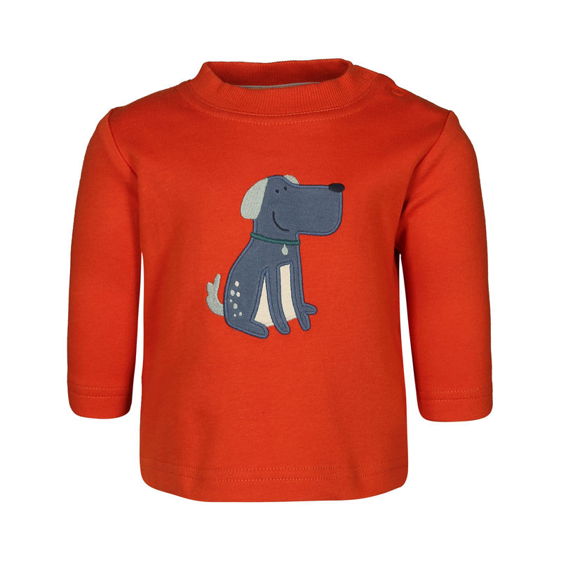 Langarmshirt HUND - BABY in orange